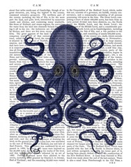 Octopus 9, Blue