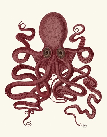 Octopus 9, Red