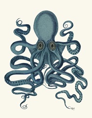 Octopus 9, Teal