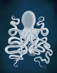 Octopus 9, White