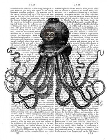 Octopus and Diving Helmet