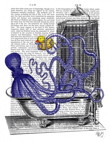 Octopus in Bath