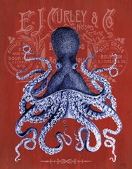 Octopus Prohibition Octopus On Red