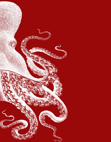 Octopus Red and White b