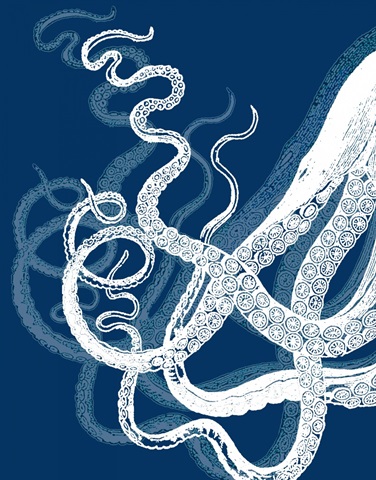 Octopus Tentacles Blue And White