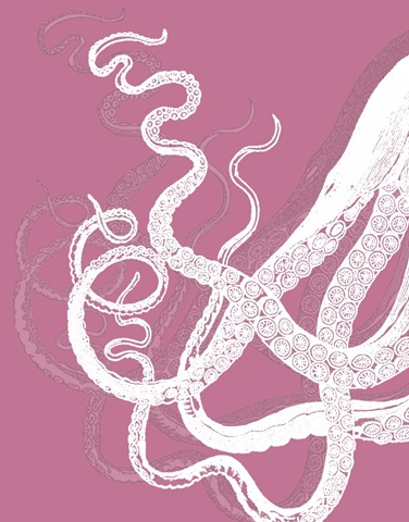 Octopus Tentacles White On Pink