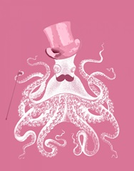 Octopus White on Pink a
