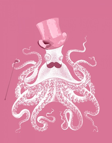 Octopus White on Pink a