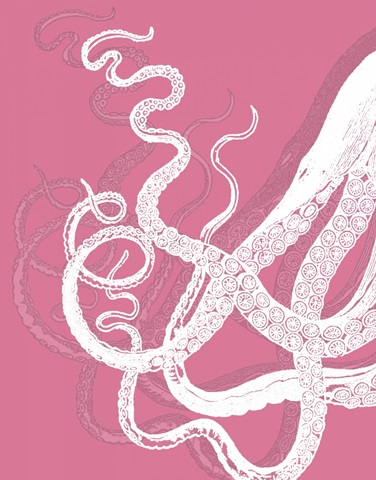 Octopus White on Pink b