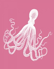 Octopus White on Pink d