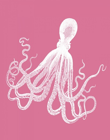 Octopus White on Pink d