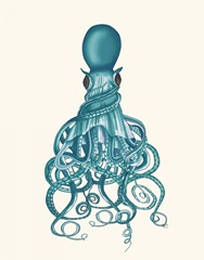 Octopus, Twisted Teal