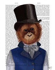 Orangutan in Top Hat