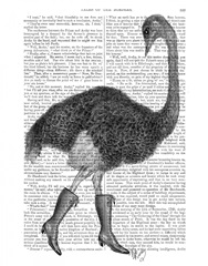 Ostrich In Boots