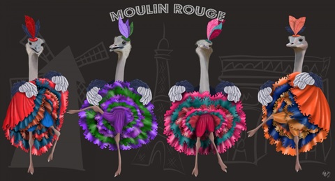 Ostrich, Can Can Troupe