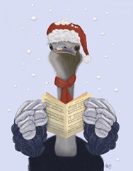 Ostrich, Carol Singing