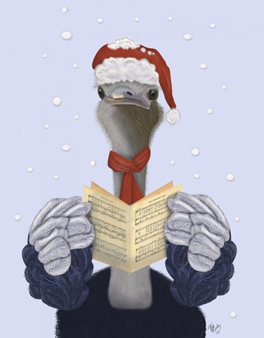 Ostrich, Carol Singing