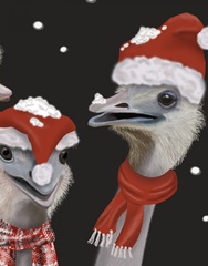 Ostrich, Christmas Gals