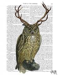 Owl with Antlers plain