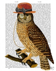 Owl with Steampunk Style Bowler Hat