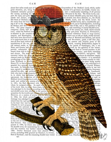 Owl with Steampunk Style Bowler Hat