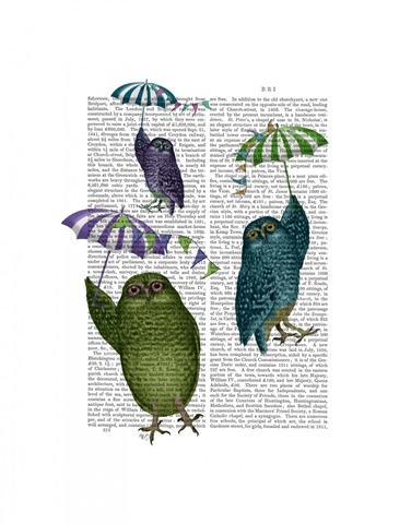 Owls with Umbrellas