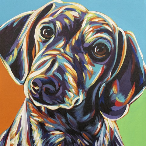 Painted Dachshund II