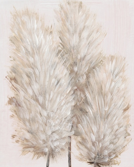 Pampas Grass IV