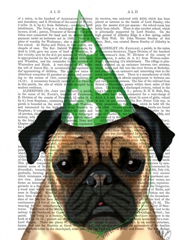 Party Pug