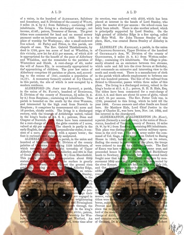 Party Pugs Pair