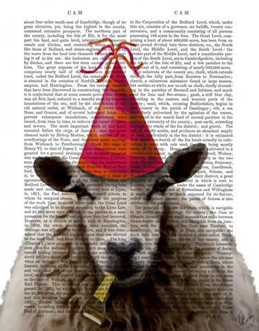 Party Sheep