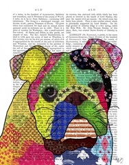 Patchwork Bulldog