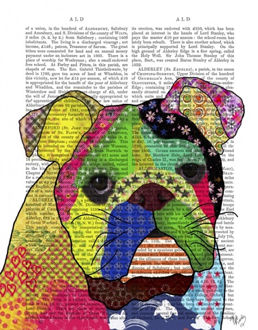 Patchwork Bulldog