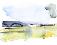 Paynes Gray Plains II