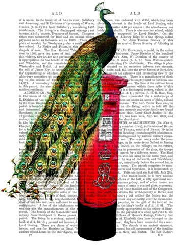 Peacock on Postbox
