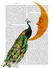 Peacock on the Moon