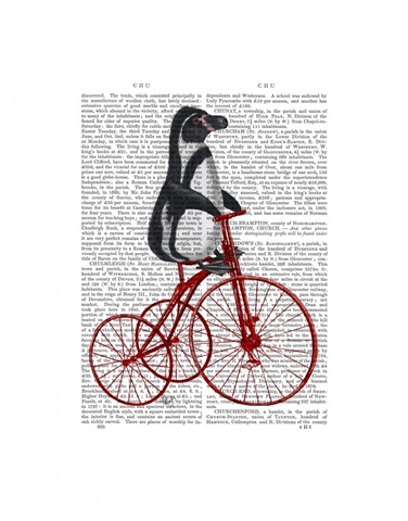 Penguin on Bicycle