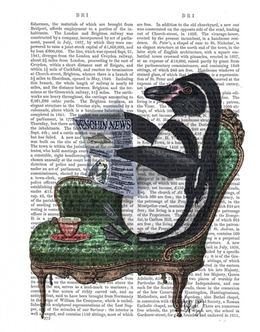 Penguin Reading Newspaper