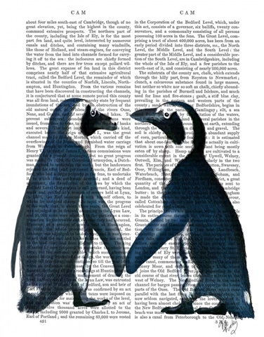 Penguins in Love