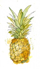 Pineapple Splash I