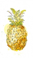 Pineapple Splash II