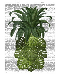 Pineapple, Monstera Leaf