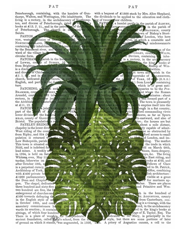 Pineapple, Monstera Leaf