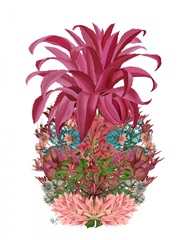 Pineapple, Tropical Flowers 2