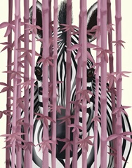 Pink Bamboo Zebra