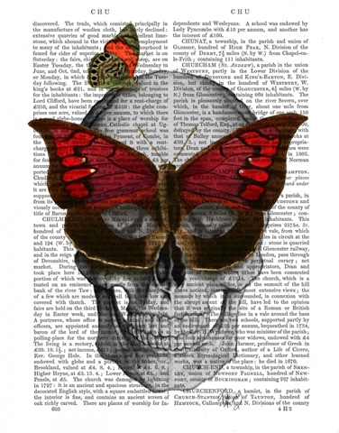 Pink Butterfly Mask Skull