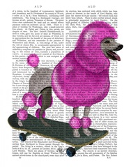 Pink Poodle and Skateboard