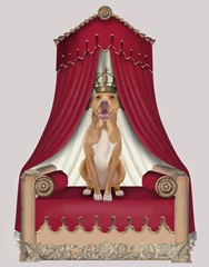 Pit Pull On Red Throne