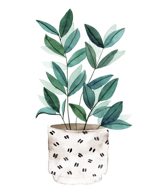 Plant in a Pot I