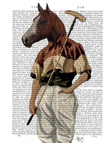 Polo Horse Portrait